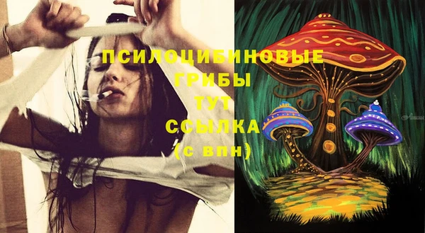 спайс Аркадак