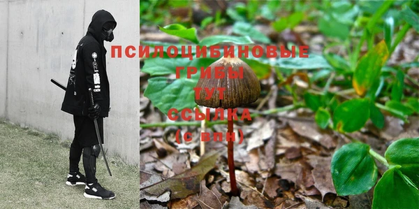 не бодяженный Арсеньев
