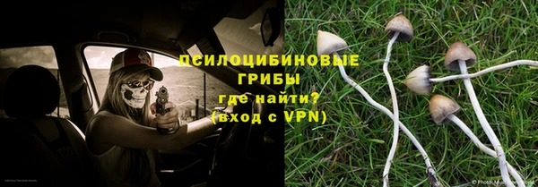 не бодяженный Арсеньев